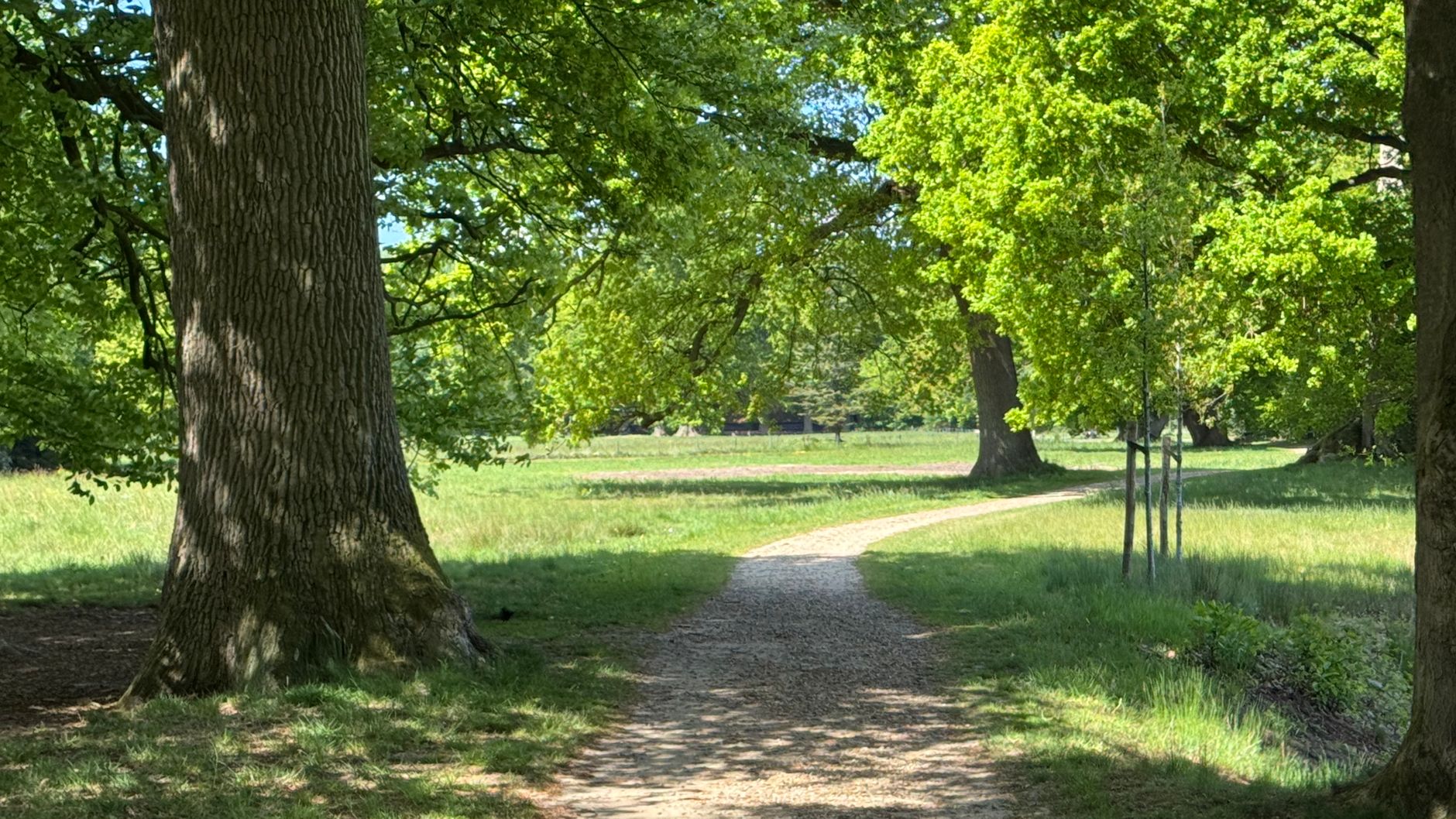 Lutte contre les nuisibles à Pessac